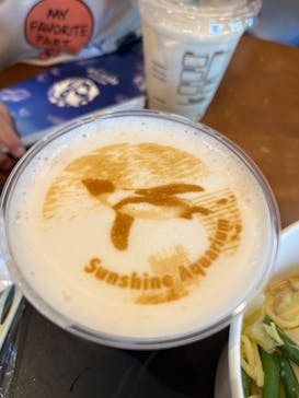 サンシャイン水族館に投稿された画像（2024/8/11）