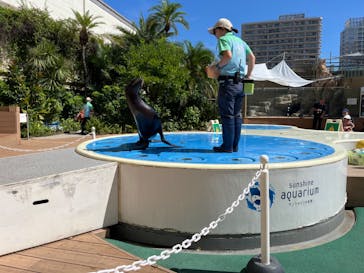 サンシャイン水族館に投稿された画像（2024/8/11）