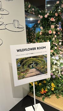 モネ＆フレンズ・アライブに投稿された画像（2024/8/11）