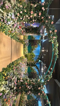 モネ＆フレンズ・アライブに投稿された画像（2024/8/11）