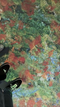 モネ＆フレンズ・アライブに投稿された画像（2024/8/11）