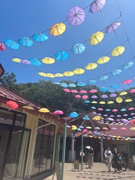 ムーミンバレーパークに投稿された画像（2024/8/11）