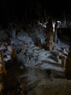 おきなわワールドに投稿された画像（2024/8/11）