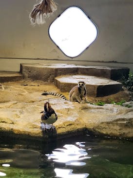 NIFREL（ニフレル）に投稿された画像（2024/8/11）