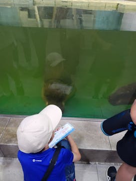 NIFREL（ニフレル）に投稿された画像（2024/8/11）