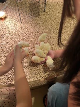 Moff animal cafe イオンモール幕張新都心店に投稿された画像（2024/8/11）