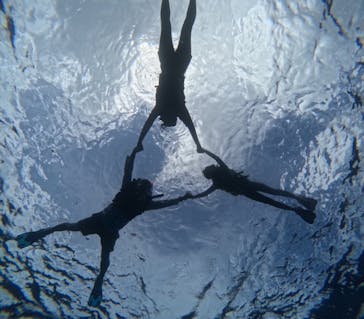 西表島 ADVENTURE PiPi（アドベンチャーピピ）に投稿された画像（2024/8/11）