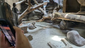 恩賜上野動物園に投稿された画像（2024/8/11）