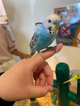 アニタッチPARKイオンモール太田に投稿された画像（2024/8/11）