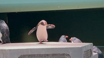 AOAO SAPPOROに投稿された画像（2024/8/11）