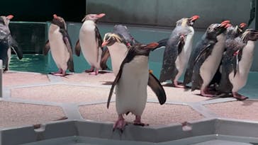 AOAO SAPPOROに投稿された画像（2024/8/11）