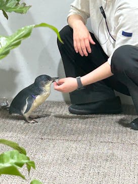 AOAO SAPPOROに投稿された画像（2024/8/11）