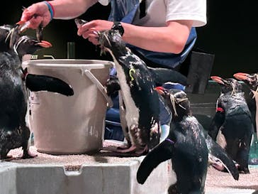 AOAO SAPPOROに投稿された画像（2024/8/11）