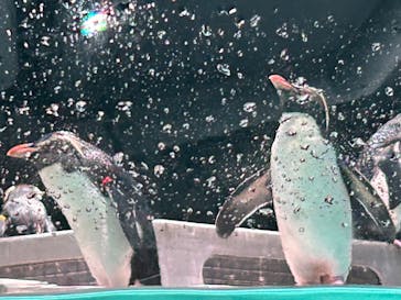 AOAO SAPPOROに投稿された画像（2024/8/11）