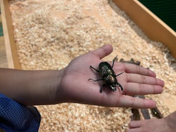 淡路ファームパーク イングランドの丘に投稿された画像（2024/8/11）