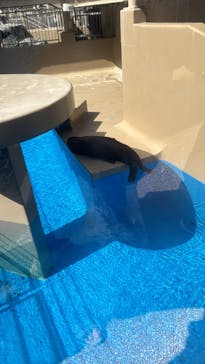 アクアワールド茨城県大洗水族館に投稿された画像（2024/8/11）