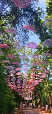 ムーミンバレーパークに投稿された画像（2024/8/11）