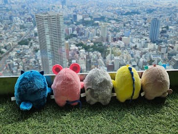 サンシャイン60展望台に投稿された画像（2024/8/11）