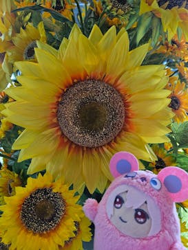 サンシャイン60展望台に投稿された画像（2024/8/11）