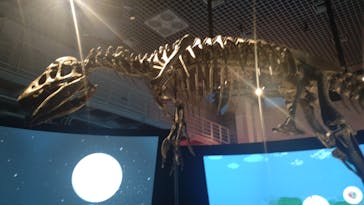 国立科学博物館に投稿された画像（2024/8/11）