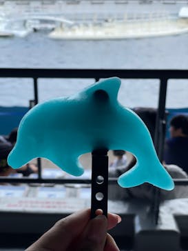 京都水族館に投稿された画像（2024/8/11）