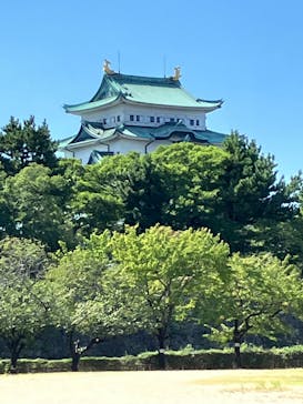 名古屋城に投稿された画像（2024/8/11）