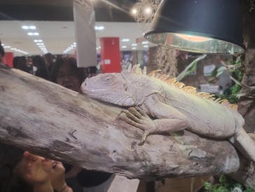 NARA IKIMONO MUSEUMに投稿された画像（2024/8/11）