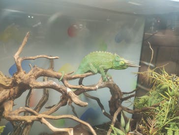 NARA IKIMONO MUSEUMに投稿された画像（2024/8/11）