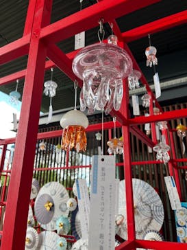 京都水族館に投稿された画像（2024/8/11）