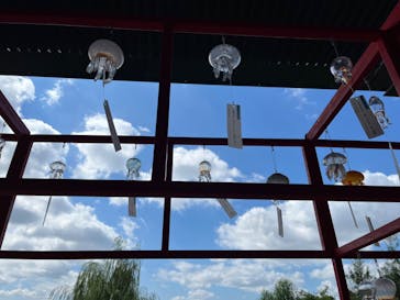 京都水族館に投稿された画像（2024/8/11）