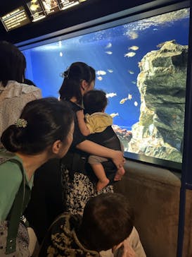 サンシャイン水族館に投稿された画像（2024/8/11）