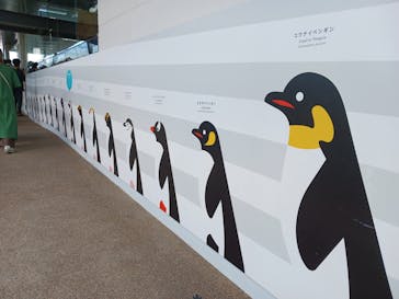 京都水族館に投稿された画像（2024/8/11）