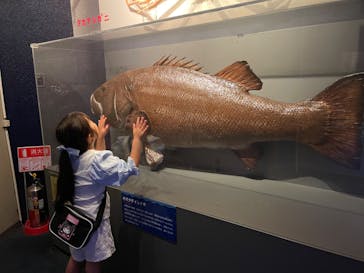 しながわ水族館に投稿された画像（2024/8/11）