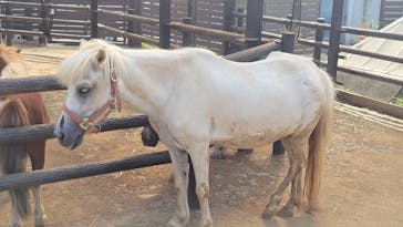 伊豆シャボテン動物公園に投稿された画像（2024/8/11）
