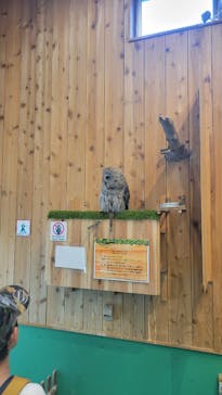 伊豆シャボテン動物公園に投稿された画像（2024/8/11）