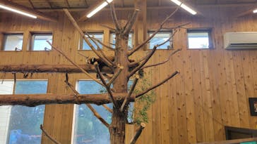 伊豆シャボテン動物公園に投稿された画像（2024/8/11）