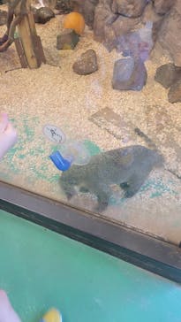 伊豆シャボテン動物公園に投稿された画像（2024/8/11）