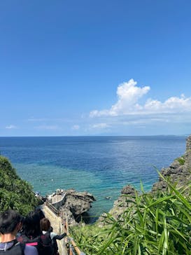 沖縄ダイビングショップシーモールに投稿された画像（2024/8/11）