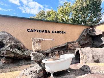 姫路セントラルパークに投稿された画像（2024/8/11）