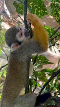 姫路セントラルパークに投稿された画像（2024/8/11）