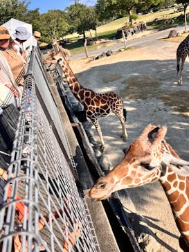 姫路セントラルパークに投稿された画像（2024/8/11）