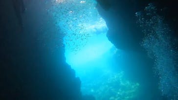 武藤潜水に投稿された画像（2024/8/11）