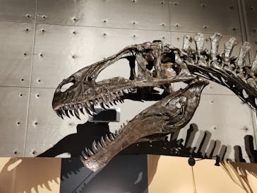 福井県立恐竜博物館に投稿された画像（2024/8/11）