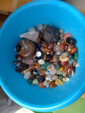 Discovery Worldに投稿された画像（2024/8/11）