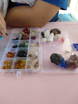 Discovery Worldに投稿された画像（2024/8/11）