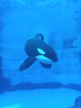 名古屋港水族館に投稿された画像（2024/8/11）