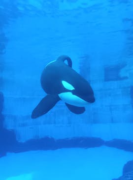 名古屋港水族館に投稿された画像（2024/8/11）