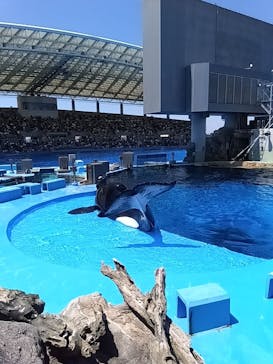 名古屋港水族館に投稿された画像（2024/8/11）