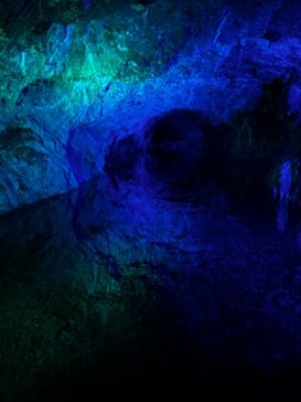 地底王国「美川ムーバレー」に投稿された画像（2024/8/11）