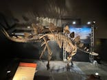 福井県立恐竜博物館に投稿された画像（2024/8/11）